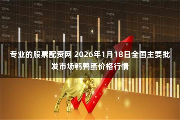 专业的股票配资网 2026年1月18日全国主要批发市场鹌鹑蛋价格行情