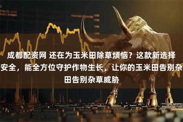 成都配资网 还在为玉米田除草烦恼？这款新选择高效又安全，能全方位守护作物生长，让你的玉米田告别杂草威胁